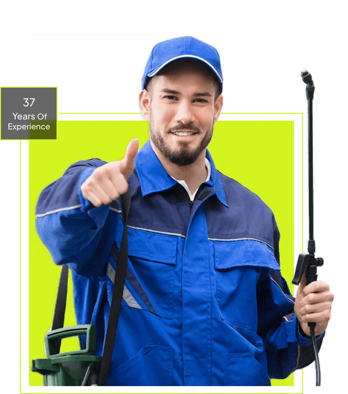Herren pest patrol